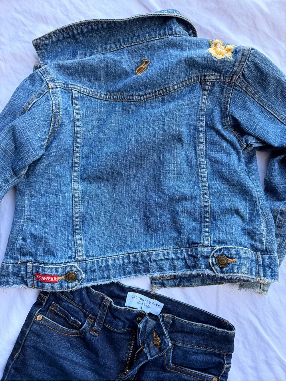 Celebrity Pink Blue Denim Jacket with Red & Yellow Floral Embroidery